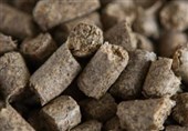 صادرات تفاله چغندر و نیشکر آزاد شد