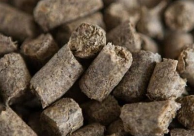 صادرات،نيشكر،نامه،تفاله،باگاس،چغندر،پيت،مورخ