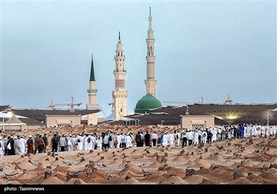 مقبرة البقيع