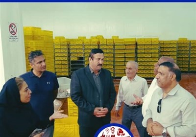 توليدي،صنعتي،شركت،ديلم،فرمانداري،واحد،مشكلات،اقتصادي