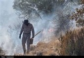آتش‌سوزی‌های گسترده در جنگل‌ها؛ هشدار برای حفظ طبیعت