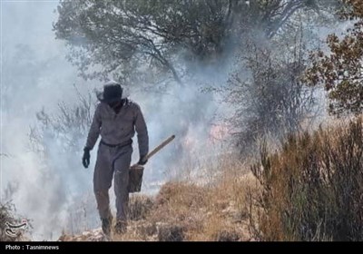 طبيعي،اراضي،قضايي،فارس،منابع،تسنيم،يگان،عمدي،مرادي،جنگلي،روانه