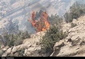 آتش‌سوزی ارتفاعات کهمره سرخی شیراز مهار شد