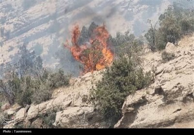 طبيعي،منابع،فارس،حادثه،آبخيزداري