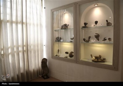 بازدید از موزه‌های استان یزد همزمان با روز جهانی موزه‌ها