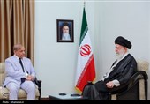 Ayatollah Khamenei Urges Iran-Pakistan Joint Efforts to Stop Israeli Crimes