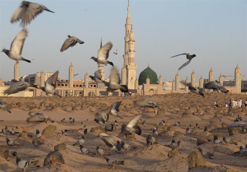 زیارت در بقیع|عطر کربلا می‌جوشد از مزار جگرگوشه حسن(ع)