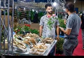 برپایی نمایشگاه گل و گیاه در چهارمحال و بختیاری