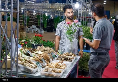 برپایی نمایشگاه گل و گیاه در چهارمحال و بختیاری