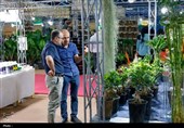 برپایی نمایشگاه گل و گیاه در چهارمحال و بختیاری