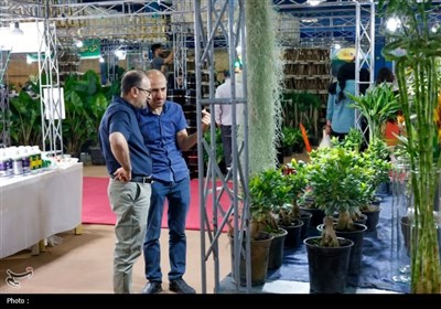 برپایی نمایشگاه گل و گیاه در چهارمحال و بختیاری