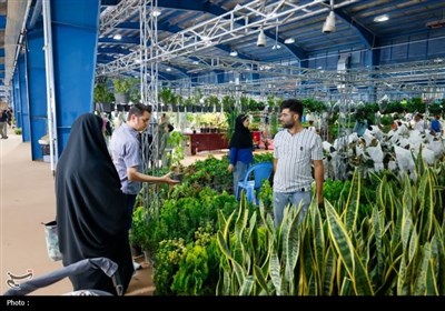 برپایی نمایشگاه گل و گیاه در چهارمحال و بختیاری