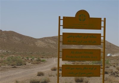 حفاظت،منطقه،جمعيت،شكار،محيط،قرق،شكارچيان،محلي،زيست،حيات،مدير ...