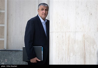محمد اسلامی، رئیس سازمان انرژی اتمی در حاشیه جلسه هیات دولت