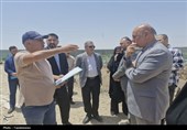 بازدید کارگروه رفع موانع تولید از واحدهای کشاورزی اسلامشهر