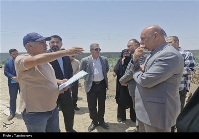 اسلامشهر،كشتارگاه،گلخانه،توليد،گاز،فرماندار،چاه،غيرمجاز،موان ...