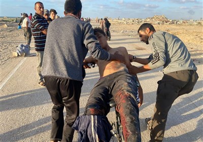 غزه،بشردوستانه،توزيع،طرح،سازمان،اسرائيل،ملل،نوار،بنياد،يونيس ...