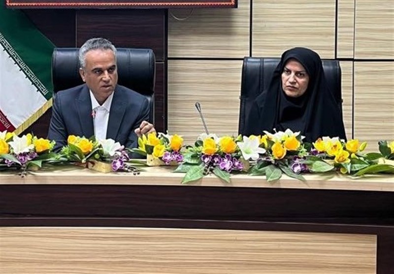 استفاده از ظرفیت سمنهای تخصصی در حل مشکلات استان بوشهر
