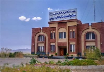 گياهان،دارويي،خراسان،جنوبي،طرح،فاز،استان،نهبندان،فردوس،اطلس، ...