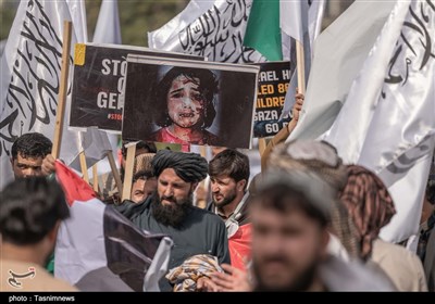 افغانستان،فلسطين،تسنيم،مزارشريف،تجمعات