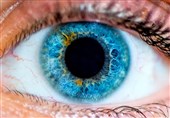 Japanese Researchers Test VR Game to Improve Eyesight
