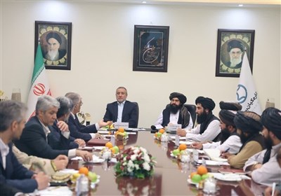 فراه،كارخانه،دام،مجموعه،ذرت،استان،والي،خوراك
