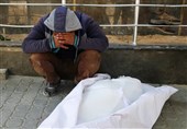 US Children's Content Maker Condemns Silence on Israel’s Killings in Gaza