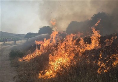 آتش،سوزي،منطقه،تيم،قدس،نشاني،گسترش،تلاش،گزارشي،اطراف،خبر