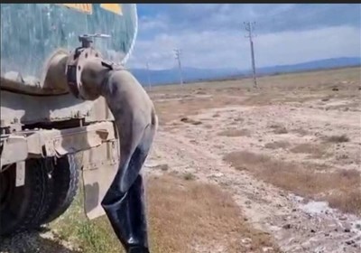 اردبيل،صنعتي،زيست،محيط،استان،حفاظت،شهرك،موزه،واحد،اقدام،نمين ...