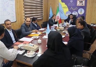 مشاغل،خانگي،پرداخت،تسهيلات،عامل،بوشهر،مديركل،اجتماعي،تمديد