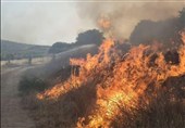 גל שריפות ברחבי הארץ: שריפות סמוך לבית שמש ומודיעין וחמת