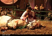 ازنوزادان شیرخوار تاجوانان عاشورایی در سوگواره تعزیه دهزیار