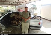شکار قاچاقچی حرفه‌ای چوب؛ پایان یک شبکه سازمان‌یافته