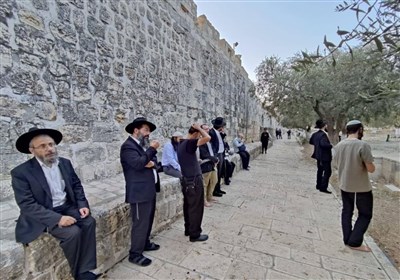 اشغالگر،الاقصي،مسجدالاقصي،صهيونيست،قدس،مسجد