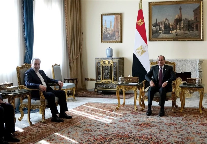  دیدار عراقچی با رئیس جمهور مصر 