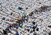 میهمان امام سجاد شویم؛ عید قربان در صحیفه سجادیه