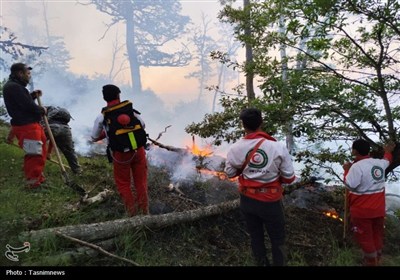 حضور نیروهای داوطلب در اطفا حریق جنگل گلستان