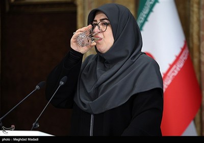 فاطمه مهاجرانی سخنگوی دولت