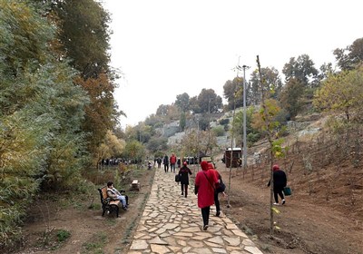 بوستان،آقاميري،فرحزاد،فاز،وسعت،هكتار،مراكز،تابستاني،آرمان