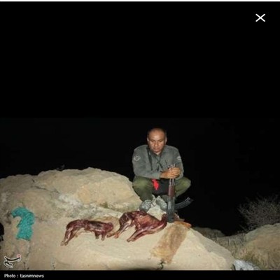 شكارچيان،تسنيم،ديدبان