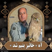 شهادت محیطبان خاییز؛ فریادی از دل طبیعت مظلوم