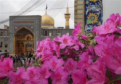رضوي،حرم،مطهر،عيد،امام،قربان،زائران،امامت،ولايت،نماز،صحن،مشه ...