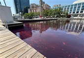 About 2,000 Gallons of Diesel Spills in Baltimore Waterfront, US Officials Say