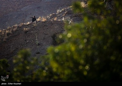 مراسم دعای عرفه در کهف الشهدا