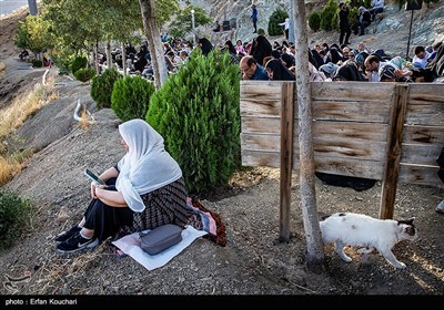 مراسم دعای عرفه در کهف الشهدا