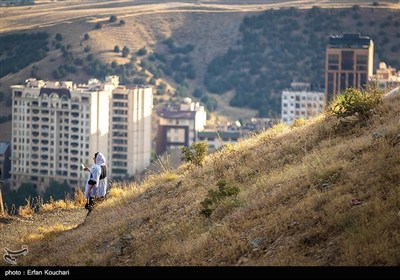 مراسم دعای عرفه در کهف الشهدا