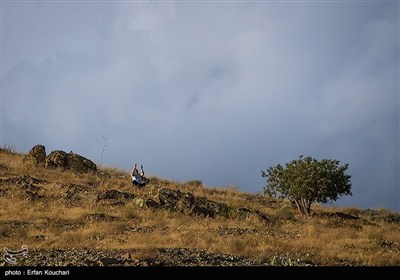 مراسم دعای عرفه در کهف الشهدا