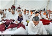 تصاویر روحنواز از حال و هوای حجاج اردبیلی در صحرای عرفات
