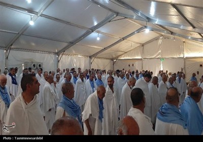 تصاویر روحنواز از حال و هوای حجاج اردبیلی در صحرای عرفات