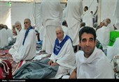 تصاویر روحنواز از حال و هوای حجاج اردبیلی در صحرای عرفات